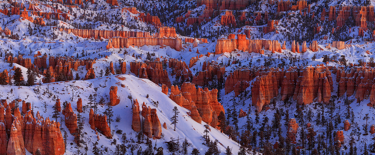 Bryce Fire & Ice Pano | Bryce Canyon National Park, Utah | Landscape ...